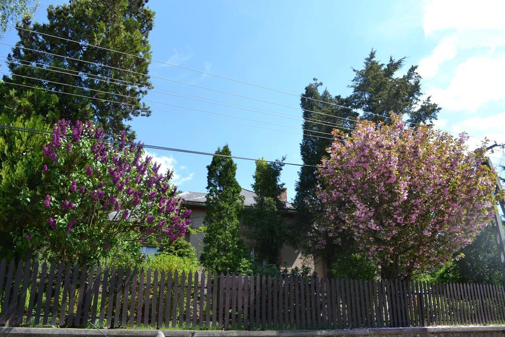 Var-Lak Vendeghaz Szendro Buitenkant foto