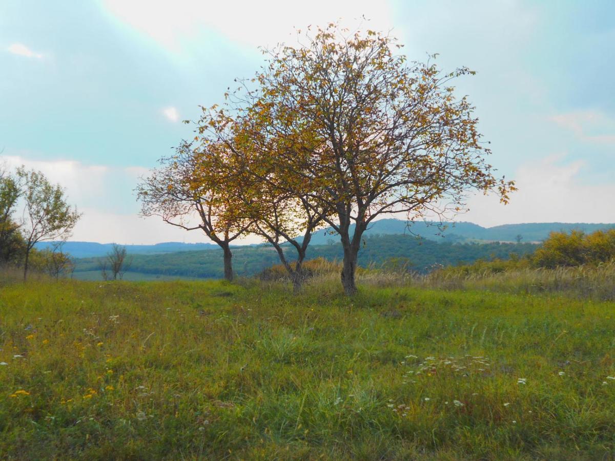 Var-Lak Vendeghaz Szendro Buitenkant foto